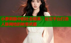 小萝莉眼中的社会精英：社交平台打造人脉网络的秘密武器