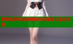 萝莉岛事件深度揭秘权贵黑幕与监控真相