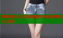 萝莉岛多少人口实时查询平台轻松掌握人口动态