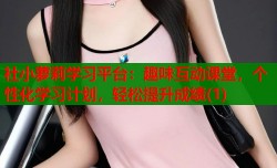 社小萝莉学习平台：趣味互动课堂，个性化学习计划，轻松提升成绩(1)