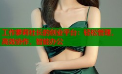 工作萝莉社长的创业平台：轻松管理，高效协作，智能办公
