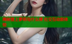 揭秘登上萝莉岛什么梗 社交互动新体验