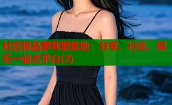 社区极品萝莉聚集地：分享、讨论、娱乐一站式平台(2)