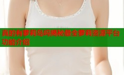 真的有萝莉岛吗揭秘最全萝莉资源平台功能介绍