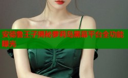 安德鲁王子揭秘萝莉岛黑幕平台全功能曝光