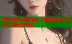 哪些明星没去萝莉岛一键揭秘真相平台助你快速辨别谣言