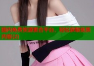 国内免费资源聚合平台，轻松获取优质内容(2)