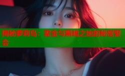 揭秘萝莉岛：霍金与黑暗之地的秘密聚会