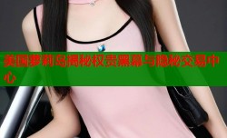 美国萝莉岛揭秘权贵黑幕与隐秘交易中心