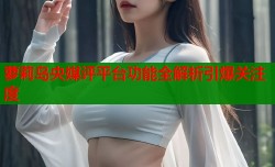 萝莉岛央媒评平台功能全解析引爆关注度