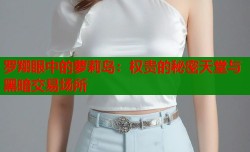 罗翔眼中的萝莉岛：权贵的秘密天堂与黑暗交易场所