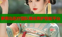 萝莉岛医疗团队精准救护智能平台