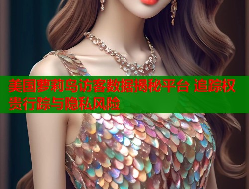 美国萝莉岛访客数据揭秘平台 追踪权贵行踪与隐私风险  第2张