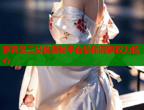 萝莉岛三总统揭秘平台助你洞察权力核心  第1张