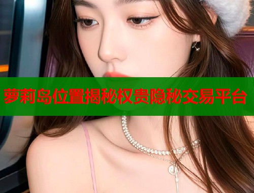 萝莉岛位置揭秘权贵隐秘交易平台  第1张