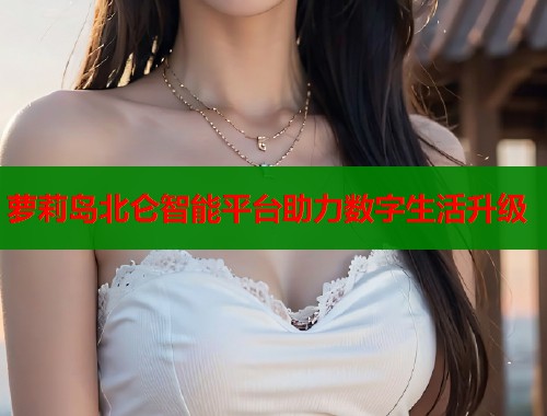 萝莉岛北仑智能平台助力数字生活升级  第1张