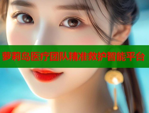 萝莉岛医疗团队精准救护智能平台  第2张